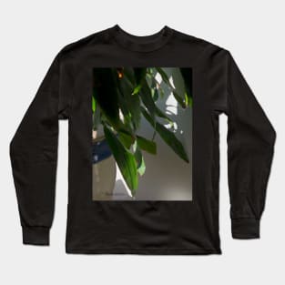 Sunrise on Leaves Long Sleeve T-Shirt